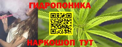 крисы Кимры