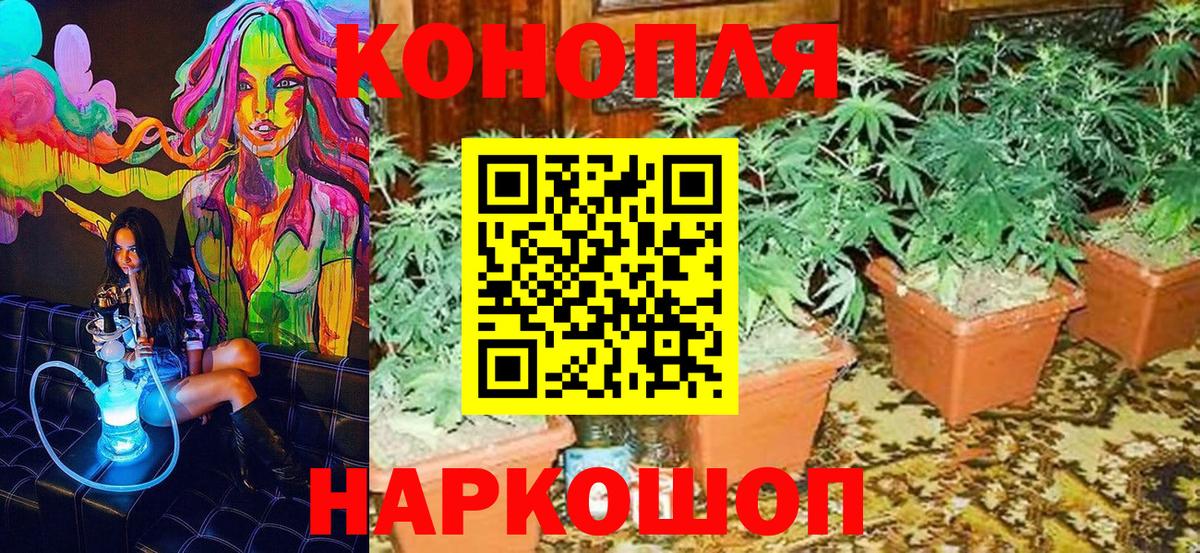 Канабис White Widow  Конопля индика  Краснокаменск  Вход с VPN  МАРИХУАНА тримм  Каннабис White Widow 